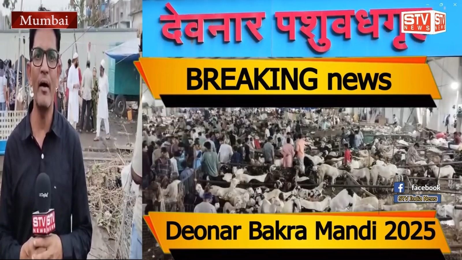 STV News | Deonar Bakra Mandi 2025 बड़ी खबरें BREAKING news...